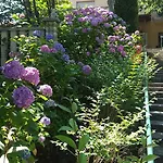 La Pineta Hotel Cogoleto