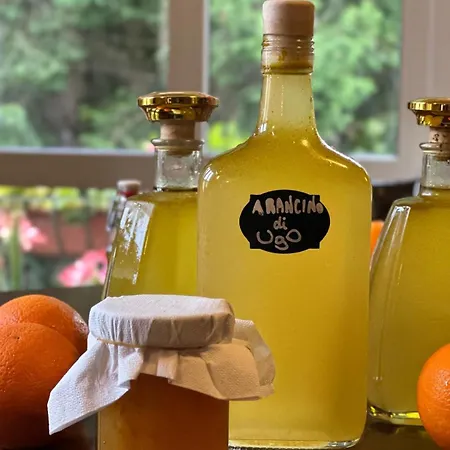 La Pineta Ξενοδοχείο 2*