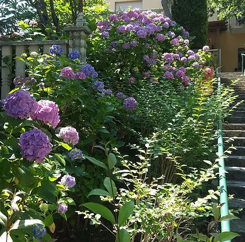 La Pineta Hotel Cogoleto