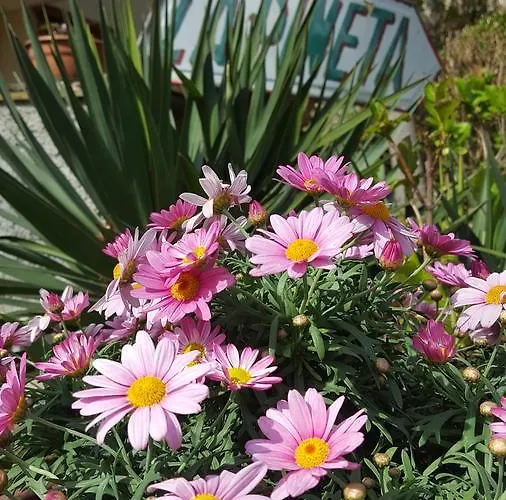 Hotel La Pineta Cogoleto